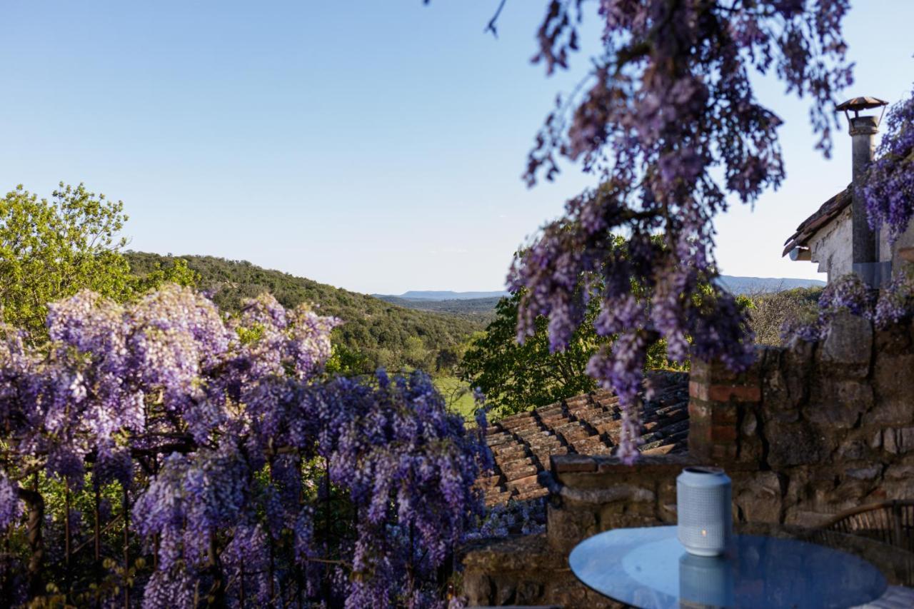 La Vieille Maison - Halte Gourmande Durfort-et-Saint-Martin-de-Sossenac Buitenkant foto