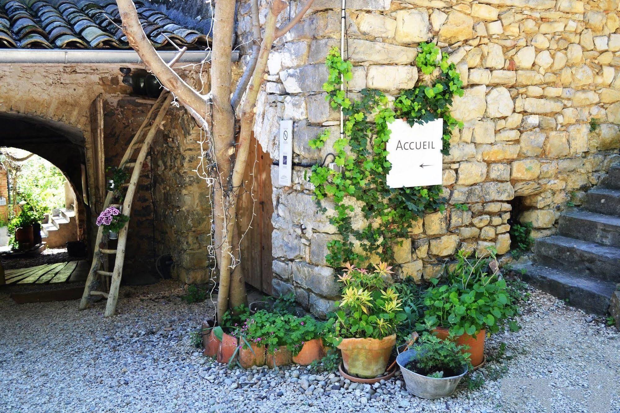 La Vieille Maison - Halte Gourmande Durfort-et-Saint-Martin-de-Sossenac Buitenkant foto
